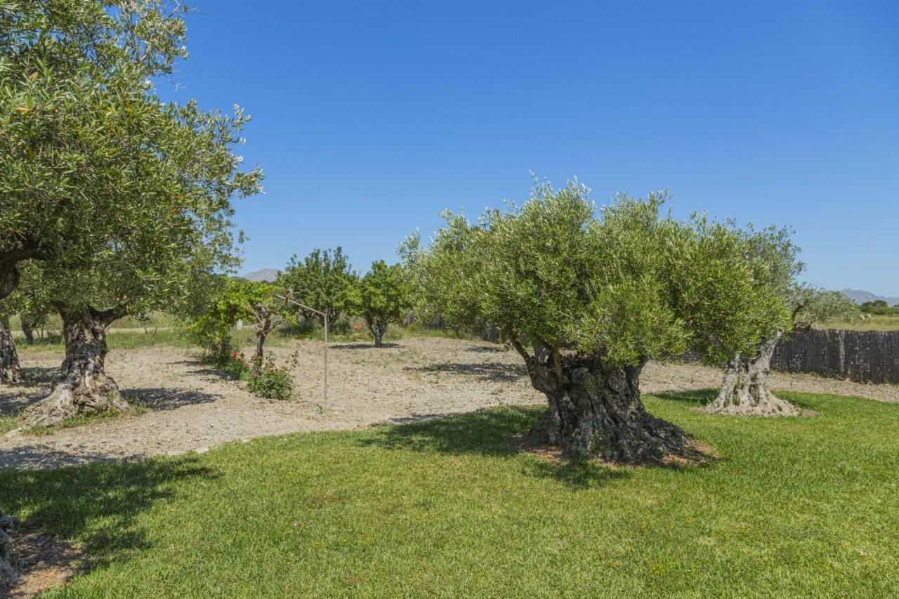 Villa Can Segue Alcúdia Eksteriør bilde