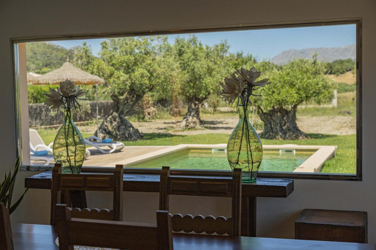 Villa Can Segue Alcúdia Eksteriør bilde